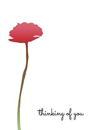A single red carnation on a long stem, with "thinking of you" in script.
