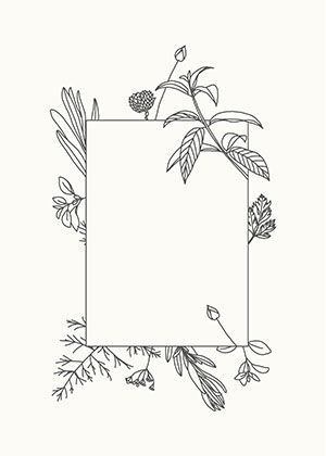 Fine line-drawn botanicals framing a cream panel.