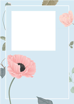 A pink poppy on pale blue beside a white message panel.